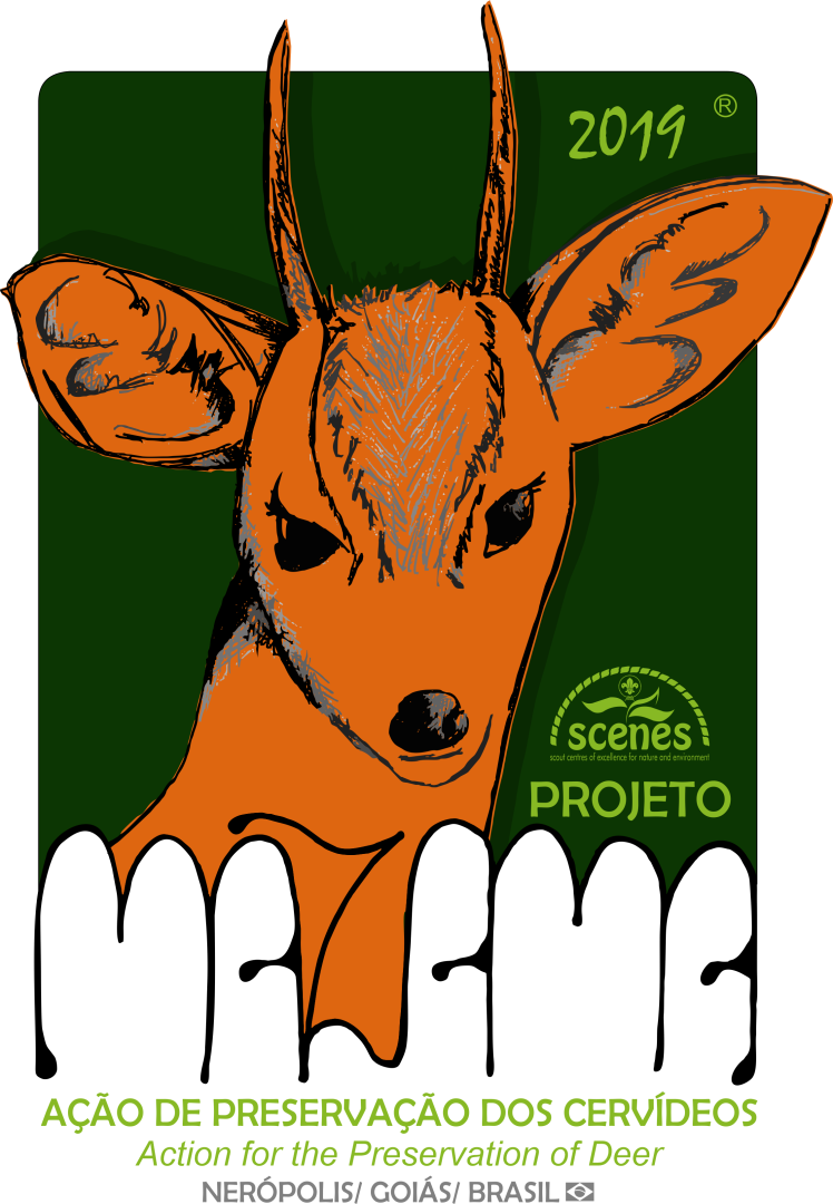 Projeto Mazama